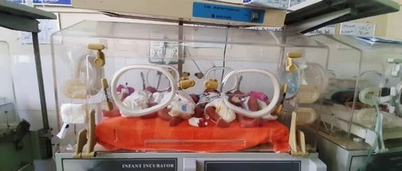 طالبان: په کابل کې تېره میاشت څه باندې ۱۰ زره کسانو ته زېږد کارتونه وېشل شوي دي