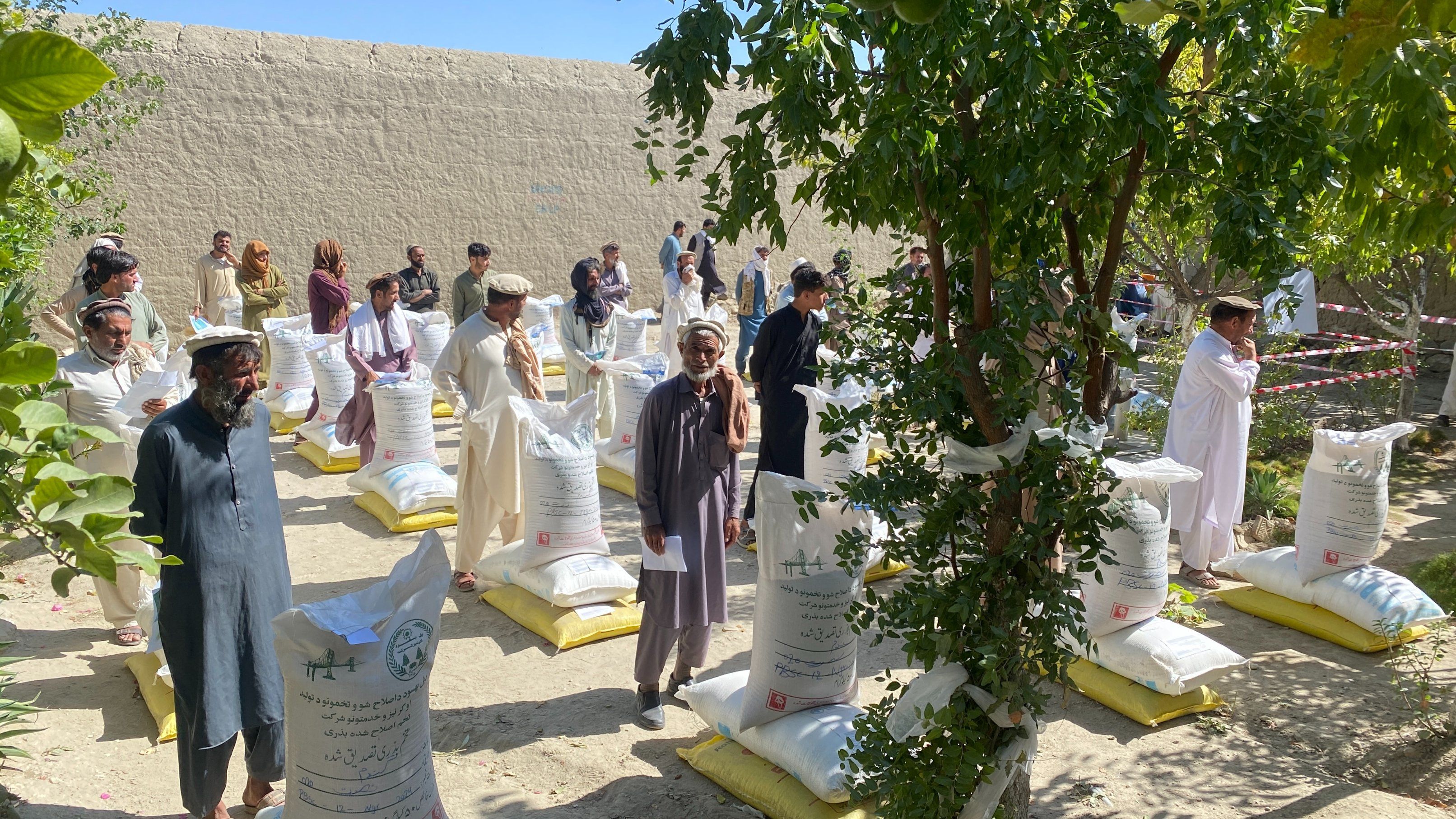 سازمان ملل کارزار امدادرسانی «گندم زمستان» را در شرق افغانستان آغاز کرد