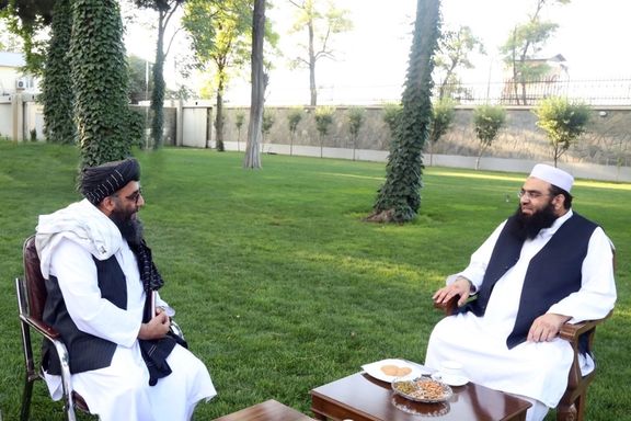 والی طالبان در پنجشیر میگوید مدت طولانی است در این ولایت هیچ رویداد امنیتی رخ نداده است