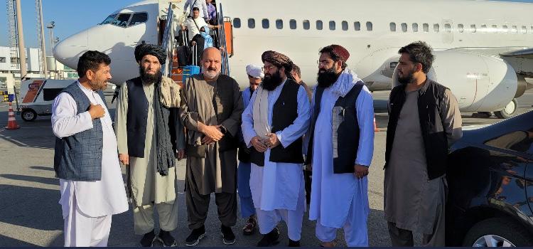 عبدالحکیم نورزی، معاون شورای امنیت ملی حکومت پیشین به کابل برگشت