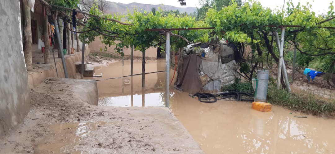 سیل در ولایت‌های مختلف افغانستان؛ طالبان کشته شدن دست‌کم ۲۰ نفر را تأیید کردند