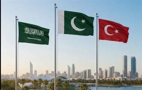 ترکیه او پاکستان: سعودي له یمني یاغیانو سره د مقابلې لپاره زموږ د مرستې غوښتنه نه ده کړې
