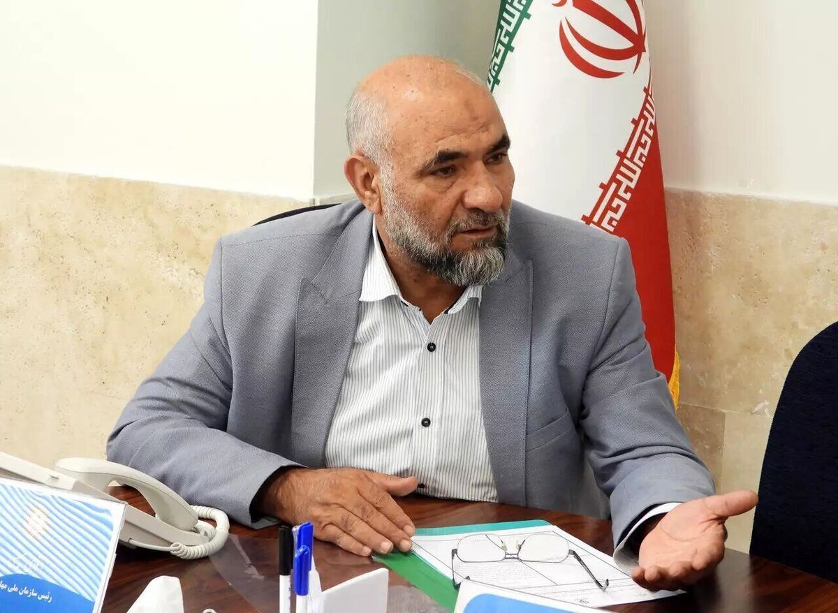 مقام ایرانی از راه‌اندازی سیستمی جامع برای تسهیل دسترسی به آمار مربوط به مهاجران خبر داد