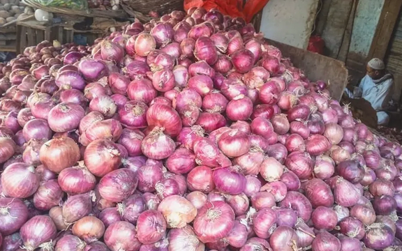 تر رومیانو وروسته؛ پاکستان کې پیاز هم دوه چنده قیمته شوي