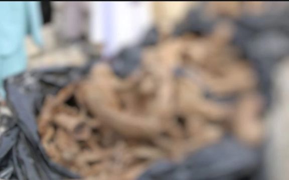 مقامهای طالبان از کشف یک 'گور دستهجمعی' در ولایت خوست خبر دادند