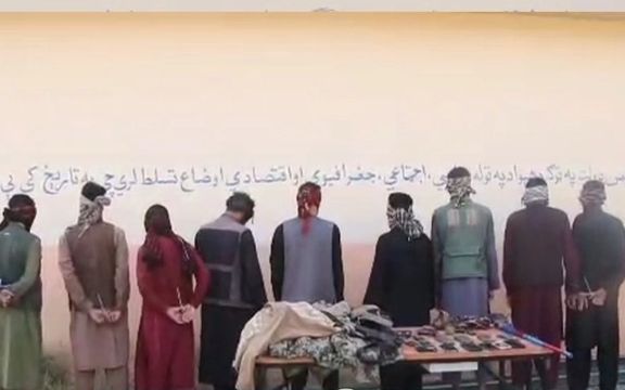 طالبان وایي په هرات او لوګر ولایتونو کې یې «مسلکي غله» نیولي