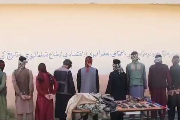 طالبان وایي په هرات او لوګر ولایتونو کې یې «مسلکي غله» نیولي