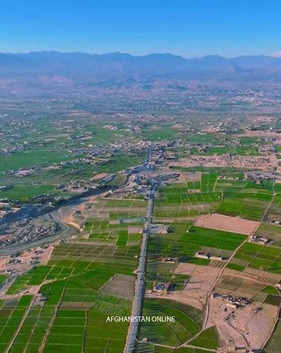 طالبان بیش از ۱۵۰ جریب زمین را در خوست «امارتی» اعلام کرد