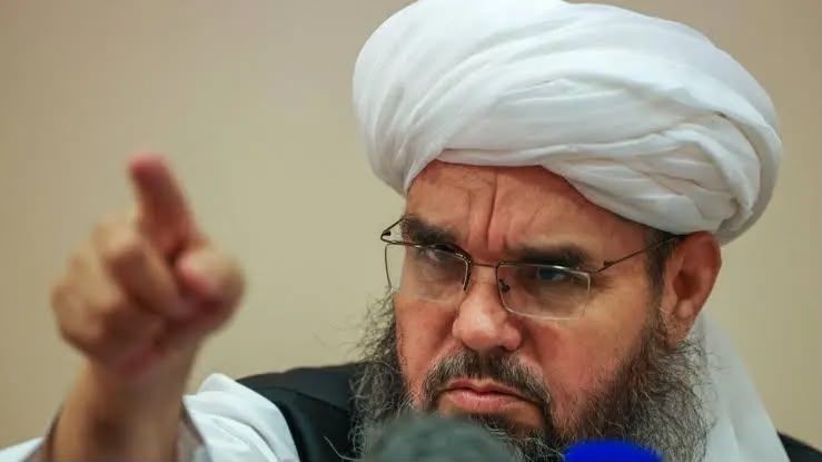 شهاب الدین دلاور: د طالبانو اوسنی نظام ټولګډونی دی او بدیل نه لري