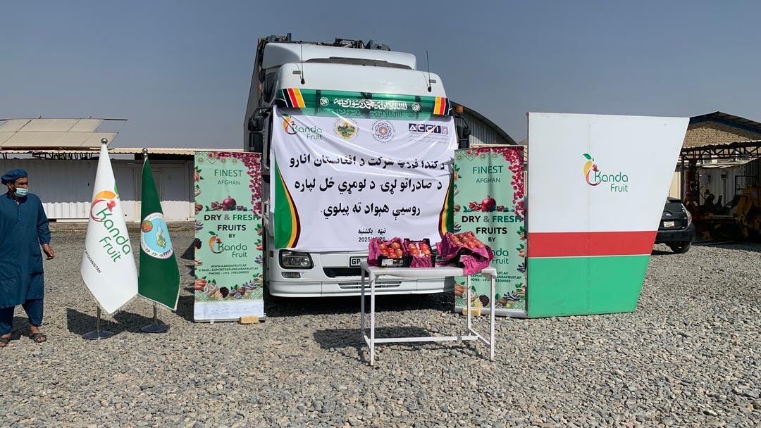 د کندهار د سوداګرۍ خونه: روسیې ته د کندهار ۲۵ ټنه انار صادر شول