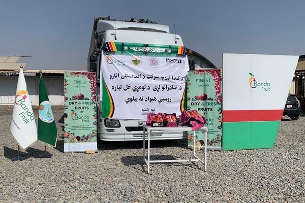 د کندهار د سوداګرۍ خونه: روسیې ته د کندهار ۲۵ ټنه انار صادر شول