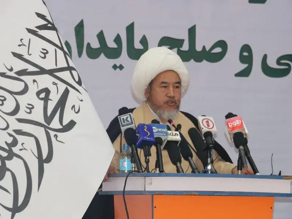Hazara-Shia Cleric Criticises Taliban's Mistreatment Of Shia Community