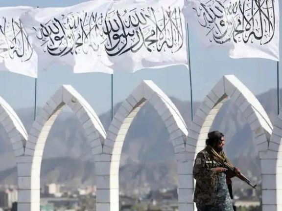 طالب چارواکي د دولتي او نادولتي سازمانونو د شمېر په اړه ضد و نقیض شمېرې خپروي