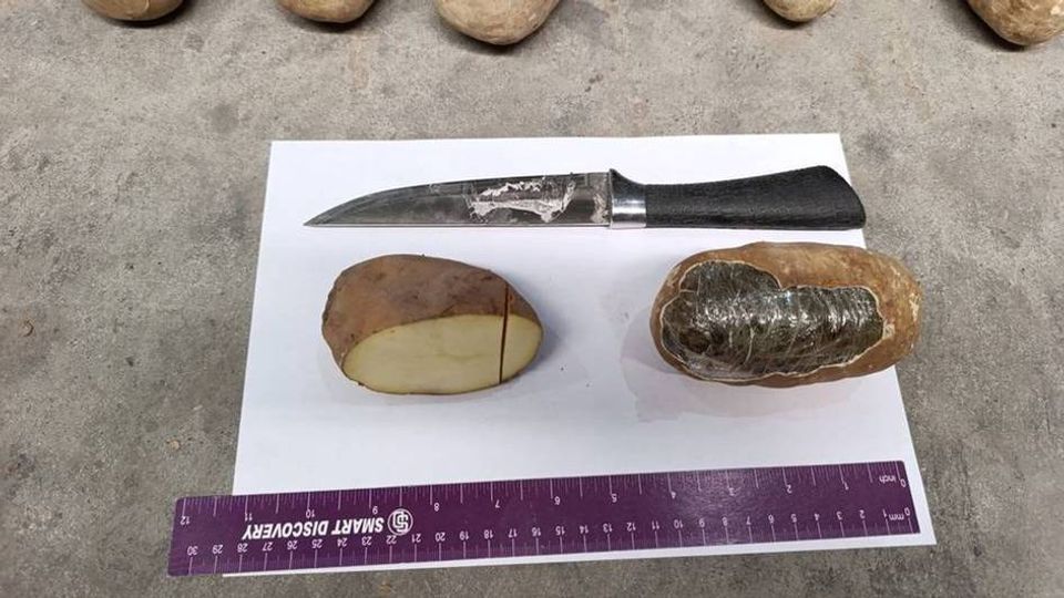 اوزبیکستان ۷۲ کیلو حشیش افغانستان را که به شکل کچالو جاسازی شده بود کشف و ضبط کرد