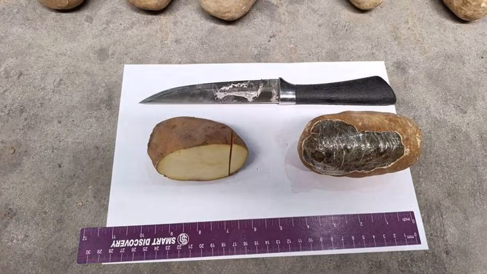 اوزبیکستان ۷۲ کیلو حشیش افغانستان را که به شکل کچالو جاسازی شده بود کشف و ضبط کرد