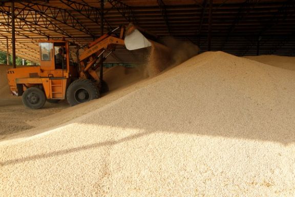 افغانستان ته د قزاقستان د اوړو صادرات ۱۴ سلنه کم شوي