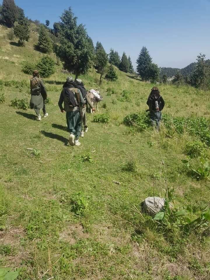 گزارشگران محلی: بازگشت طالبان به دره سوات پاکستان مردم را وحشت‌زده کرده است