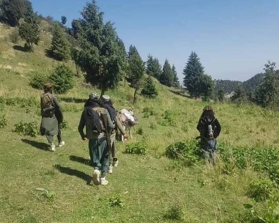 گزارشگران محلی: بازگشت طالبان به دره سوات پاکستان مردم را وحشتزده کرده است