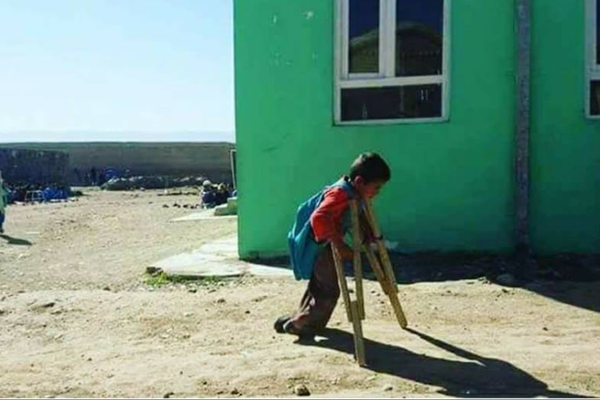 ګوزڼ ویروس لا هم د افغانستان او پاکستان په پښتني سیمو کې جدي ګواښ دی