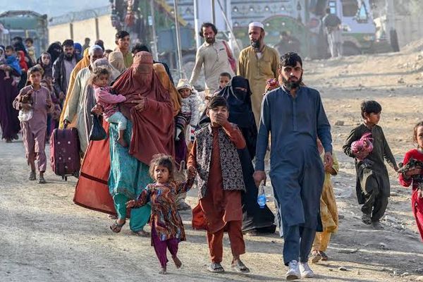 پاکستان نږدې ۹۰۰ افغان کډوال په جبري ډول افغانستان ته ستانه کړي دي