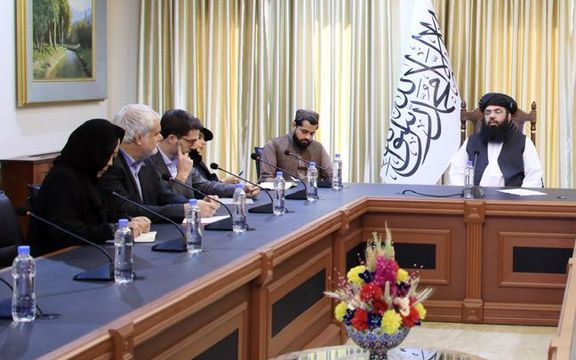 معاون رئیسالوزرای طالبان خواهان کمک اروپا برای مبارزه با مواد مخدر شد