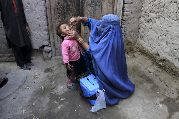 سږکال په افغانستان کې دوه او پاکستان کې ۲۱ د پولیو مثبتې پېښې ثبت شوې دي