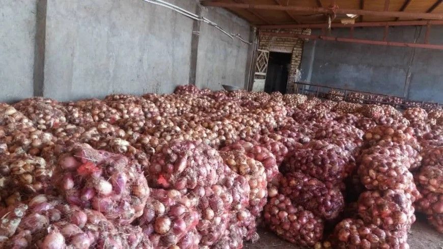 بغلان کې د تازه مېوو د ساتنې ۷ سړې خونې او د پیازو زېرمه کولو لپاره ۳۵۰ زېرمتونونه جوړ شوي