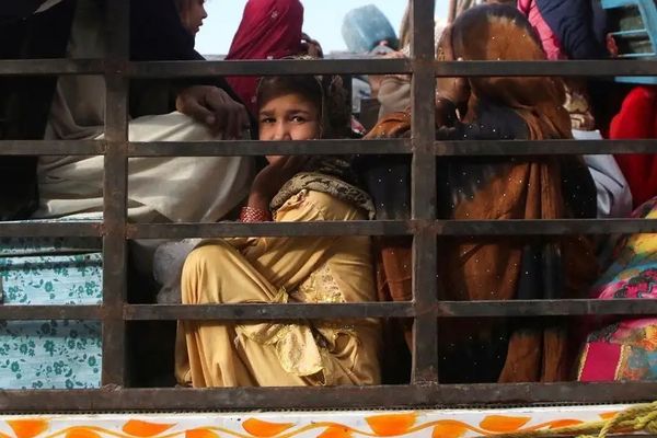 د افغان مدني ټولنې ګډې کاري ډلې له ګاونډیو هېوادونو د افغانانو د شړلو د مخنیوي غوښتنه وکړه