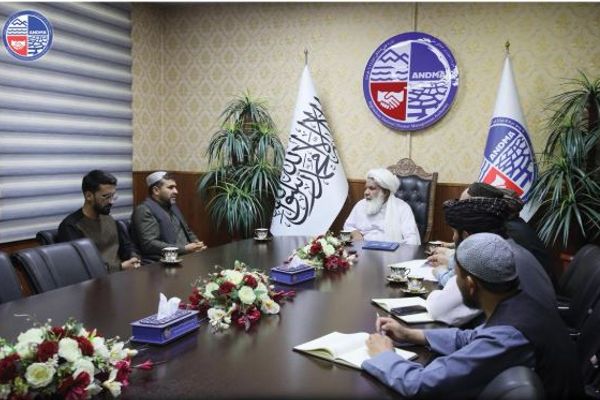 هلوټرسټ موسسه په پنځو ولایتونو کې د طالبانو په لاس جوړ شوي ماینونه پاکوي