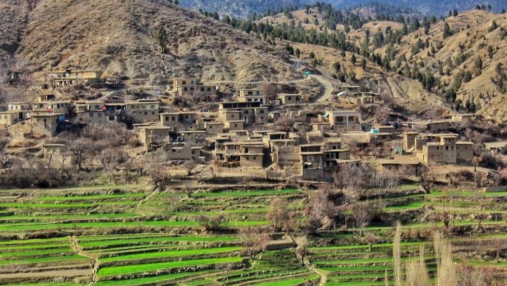 د وسلې پر سر جنجال کې د خوست موساخېلو ولسوالۍ کې د طالبانو  د استخباراتو مدیر ووژل شو