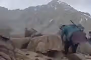 جبهه آزادی از کشتهشدن ۱۰ عضو طالبان در زیباک بدخشان خبر داد