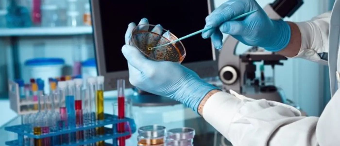 تلاش‌ها برای درمان بیماری با تبدیل سلول‌های انسانی به ربات‌های کوچک بیولوژیک