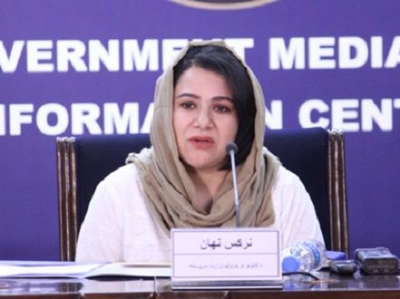 نرګس نهان: افغانستان ته داسې سیاسي نظام پکار دی چې د ټولو خلکو استازیتوب وکړي