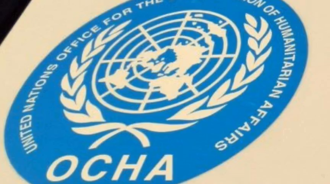 الأمم المتحدة: أكثر من ١.٥ مليون لاجئ عادوا إلى أفغانستان منذ بداية العام الجاري