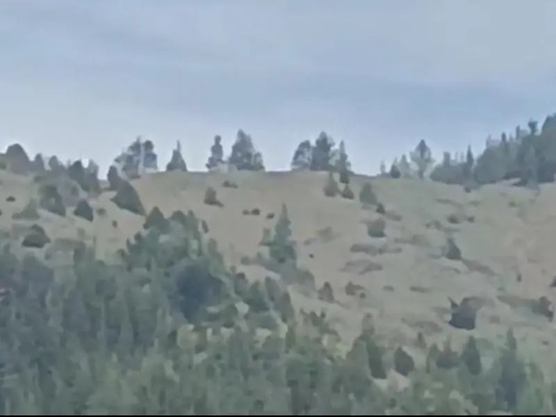 ځايي سرچينې: په پکتيا کې پر ډيورنډ کرښه جګړه د خوست ځاځي میدان ته رسېدلې 