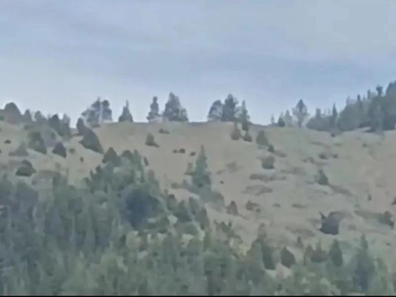 ځايي سرچينې: په پکتيا کې پر ډيورنډ کرښه جګړه د خوست ځاځي میدان ته رسېدلې