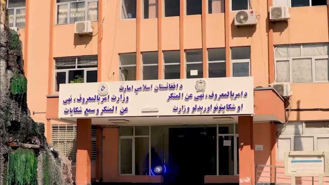 طالبانو په کابل کې څلور کوډګر نیولي دي