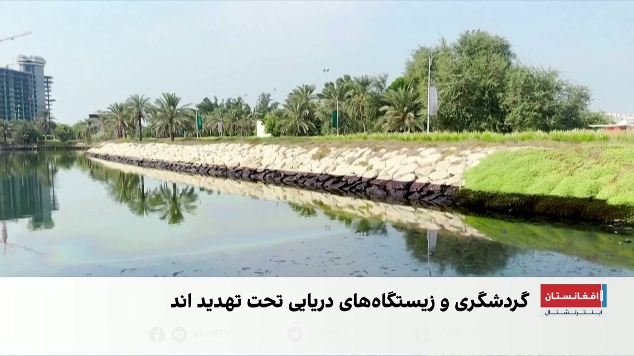 نشت نفت در سواحل امارات؛ تهدید منابع آب شیرین و گردشگری