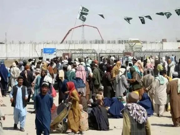 وزارت مهاجرین طالبان از بازگشت هزاران مهاجر افغان از ایران و پاکستان خبر داد