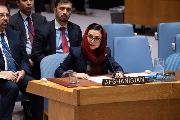 عادله راز عضو یک هیئت مشورتی سازمان ملل شد