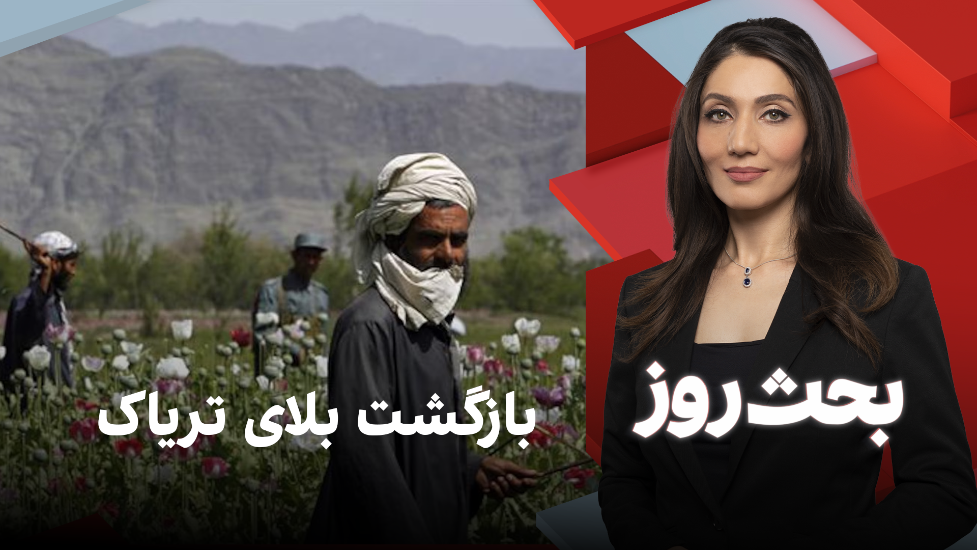 مدار: بازگشت بلای تریاک