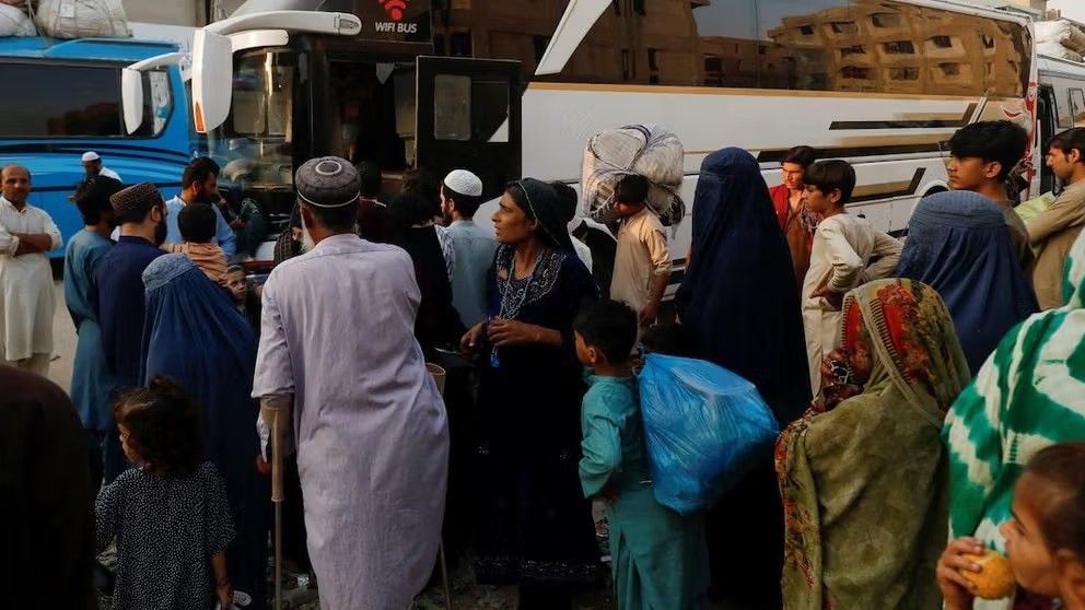 در شش ماه اخیر ۴۳ هزار مهاجر افغان از پنجاب اخراج شده‌اند 