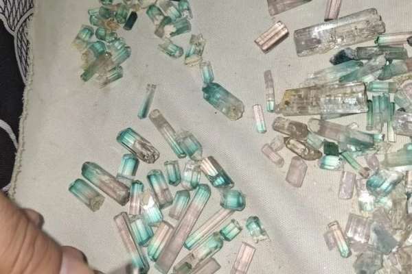 طالبانو په نورستان کې د ۲مېلیونه افغانیو په ارزښت بیروج پلورلي