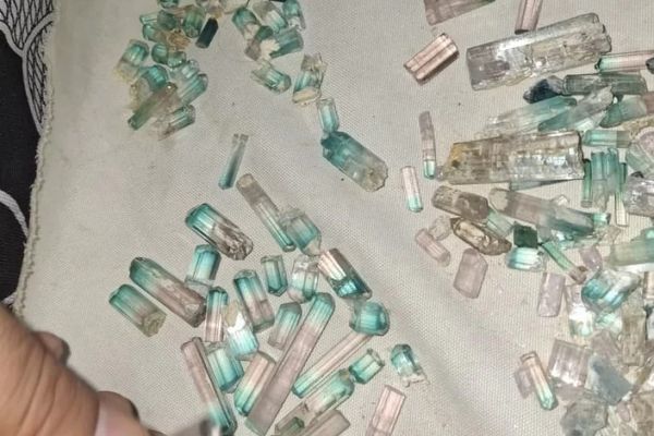 طالبانو په نورستان کې د ۲مېلیونه افغانیو په ارزښت بیروج پلورلي