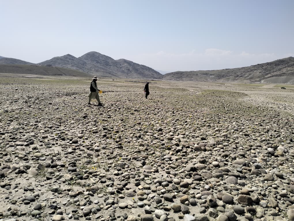طالبان وايي په پنځو ورځو کې یې په ۱۱ ولایتونو کې څه باندې شپږ زره کسانو ته نومرې ویشلې