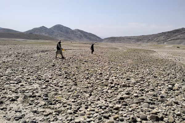 طالبان وايي په پنځو ورځو کې یې په ۱۱ ولایتونو کې څه باندې شپږ زره کسانو ته نومرې ویشلې