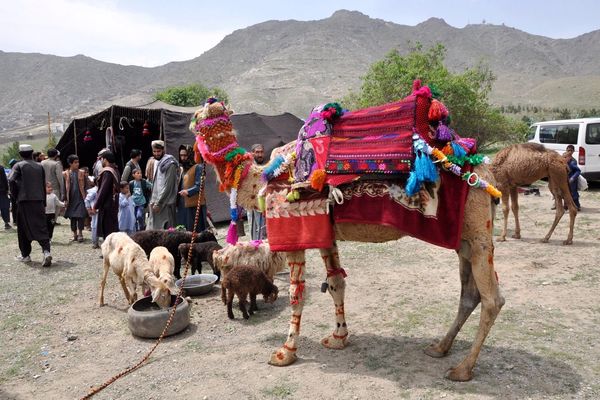 په کابل کې د کوچیانو د صنعت د ودې لپاره درې ورځنی نندارتون جوړ شوی و