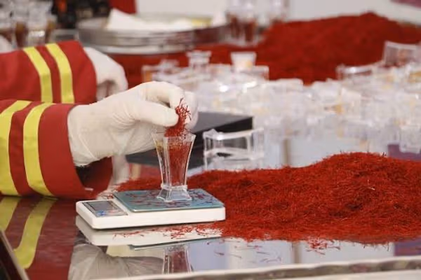 له افغانستان څخه د ۳۰ میلیونه ډالرو په ارزښت زعفران بهر ته صادر شوي