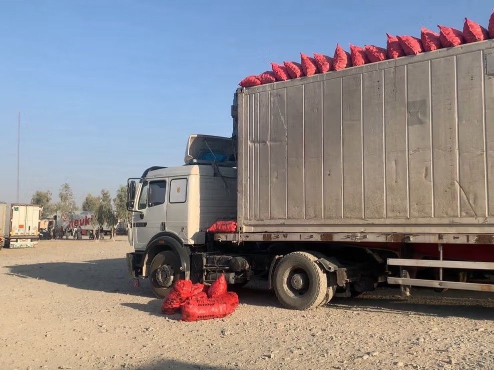 بیش از ۲۰۰ موتر باربری حامل انار و انگور در مرز اسپین‌بولدک متوقف شده‌اند