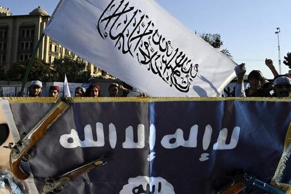 د طالبانو تر کنټرول لاندې افغانستان د القاعدې پر روزنیز مرکز او خوندي ځای بدل شوی